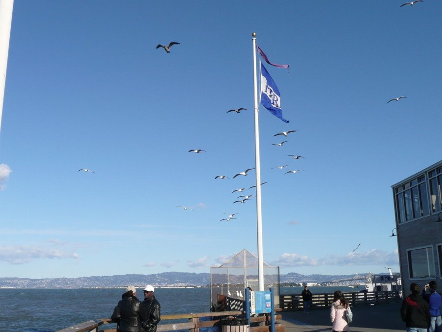 Pier 39 @Boxing Day 2007 by adi0687