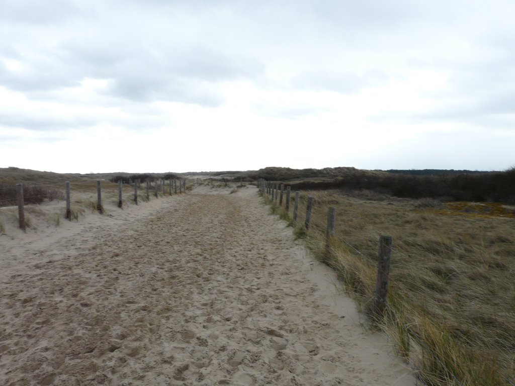 Duinen en pad naar de zee, Wassenaar, zicht op het oost-zuidoosten by David Jimmink