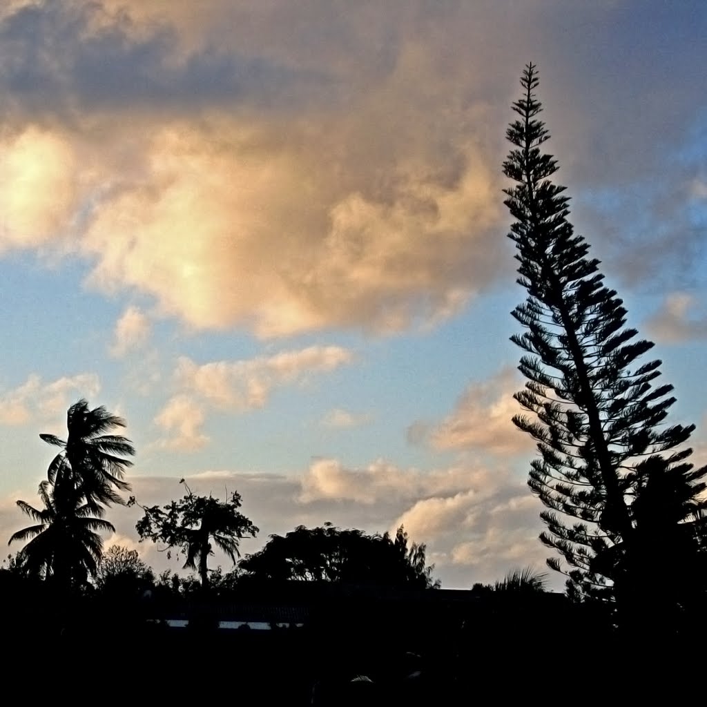 Faa'a, Tahiti, Polynésie by Pom-Panoramio? YES !