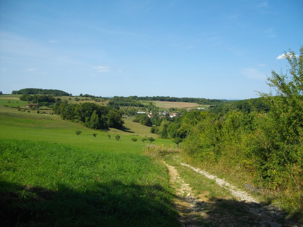 Chemin aux Champs Crapey sur Courbenans by Claudius B.