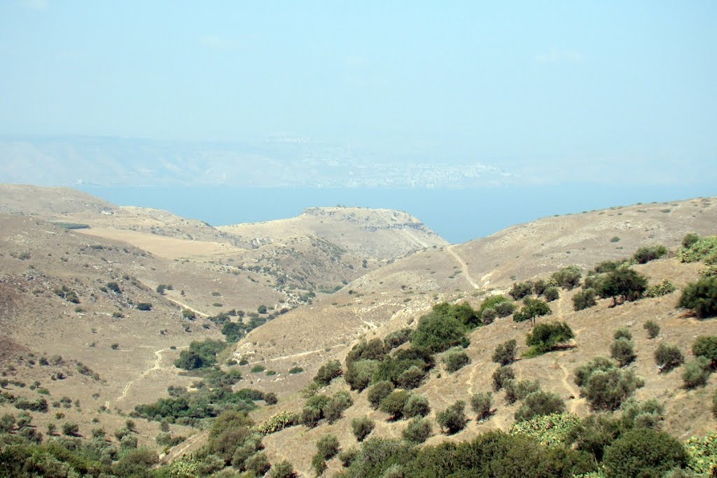 Israel. The view from the village Afeka by Igor Svobodin