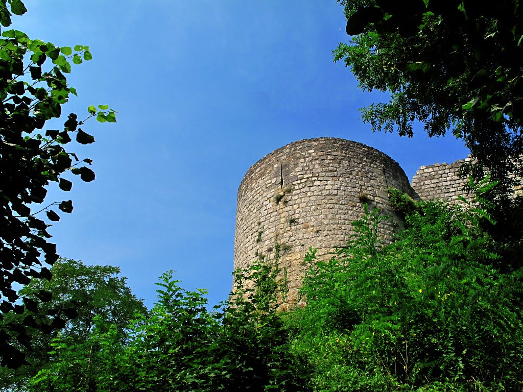 Château-Thierry- la Citadelle by Dominique Insenga