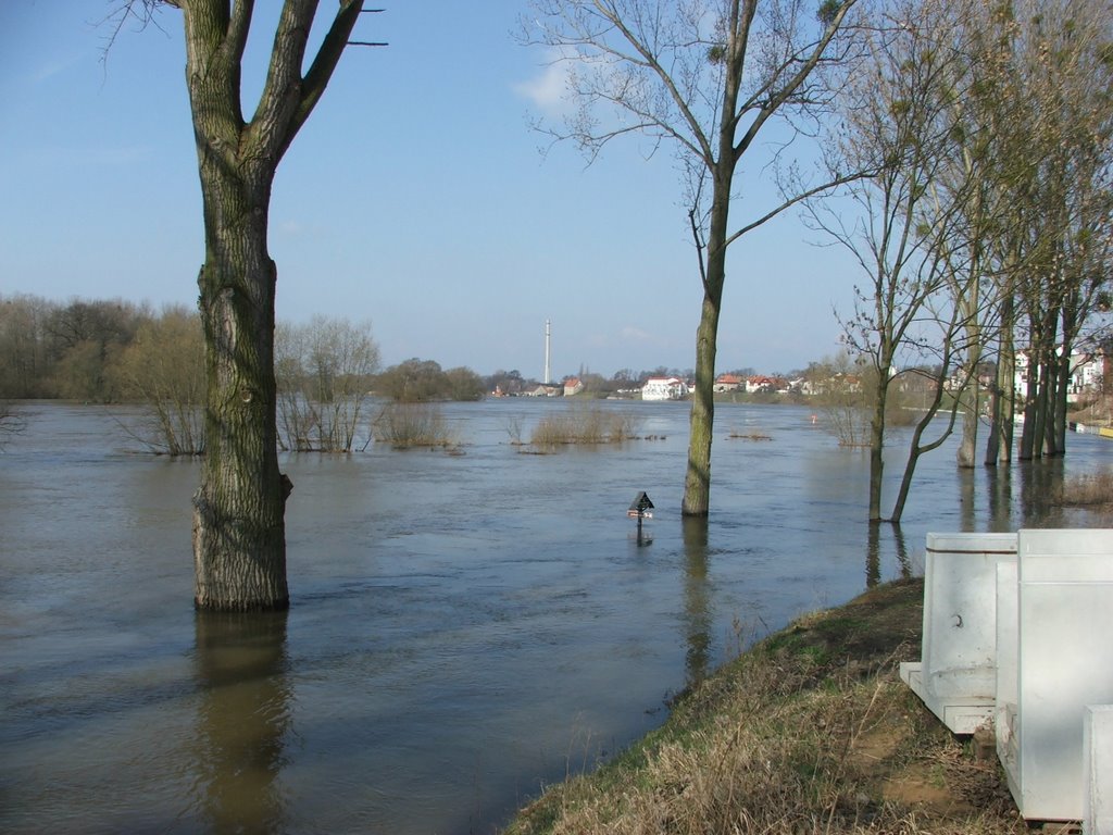 Hochwasser in Coswig 2006 by jensi374