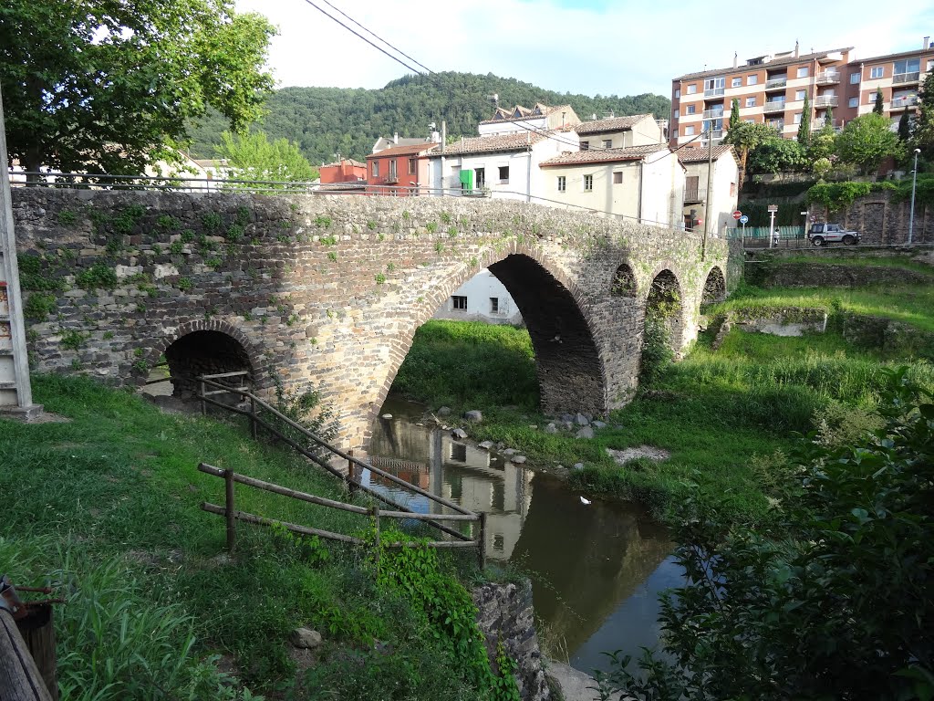 Sant Joan les Fonts : pont du XIIIe by gmbgreg