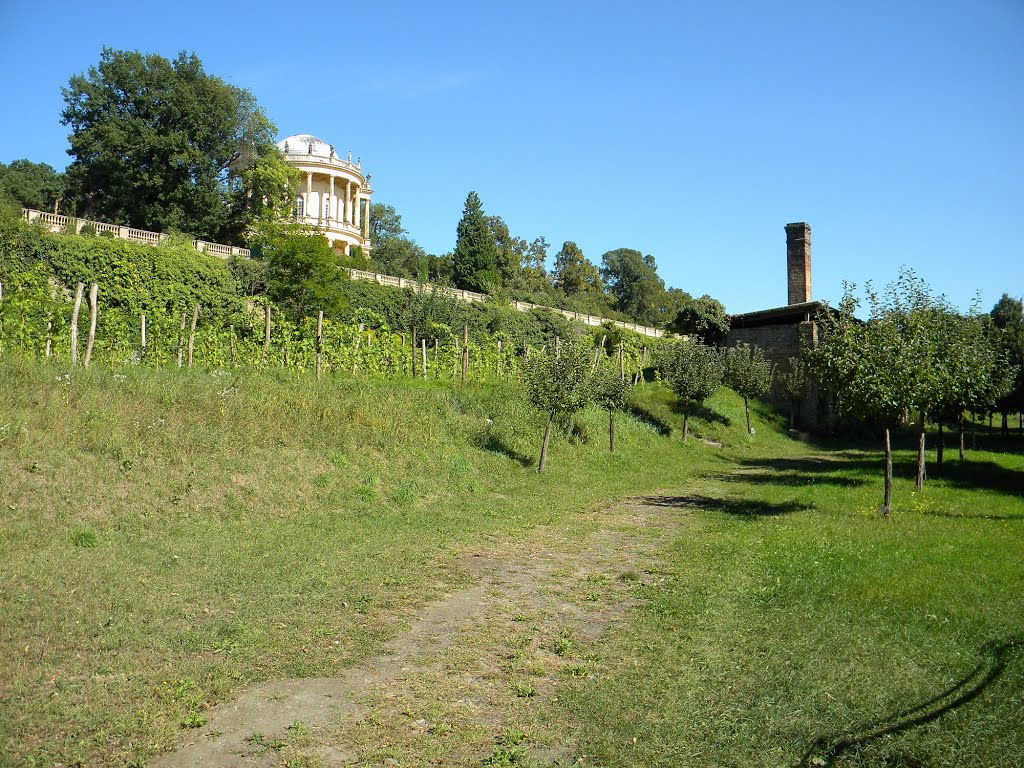 Potsdam Sanssouci ehemaliger Weinberg 07-09-2013 by Destiny