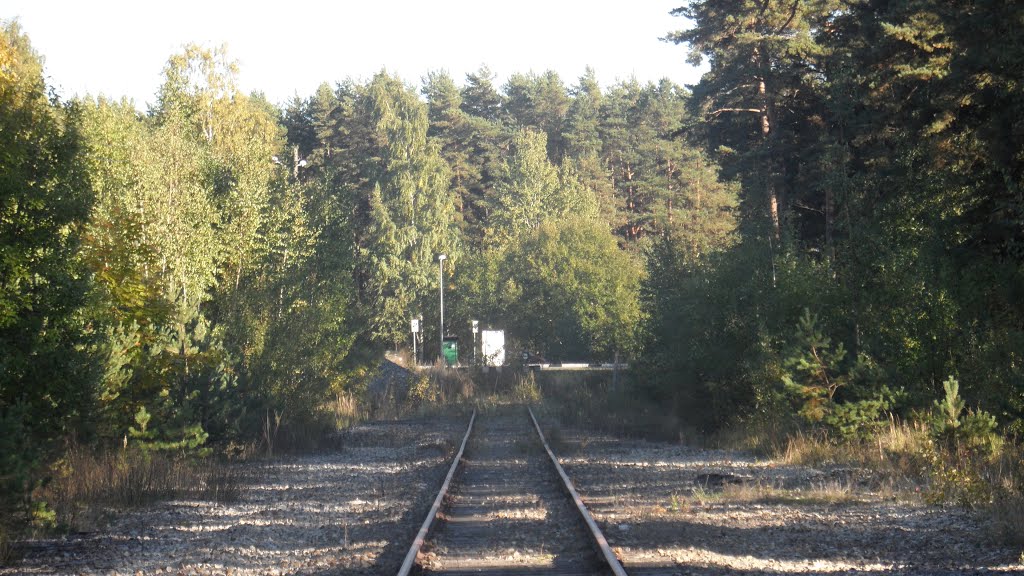 Pärnu Railway station, track to the end by hielko