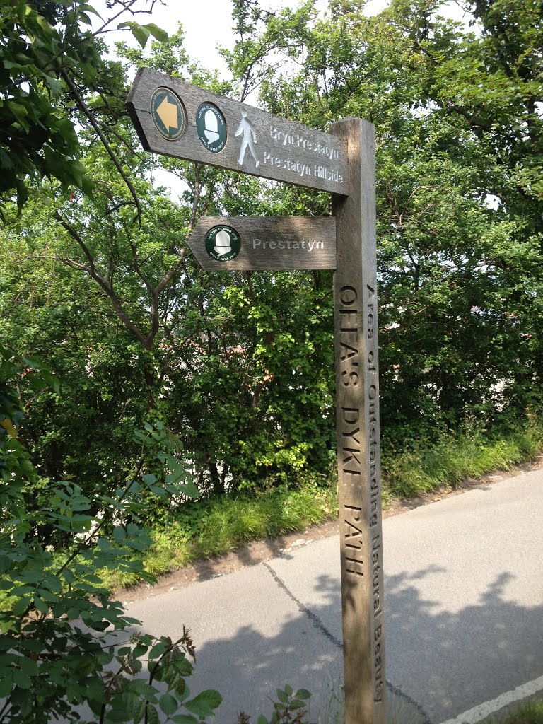 Offa's Dyke Path marker, Prestatyn Hillside by David Searle