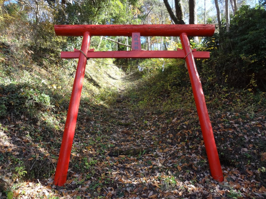 八坂神社　鳥居 by 日室大樹