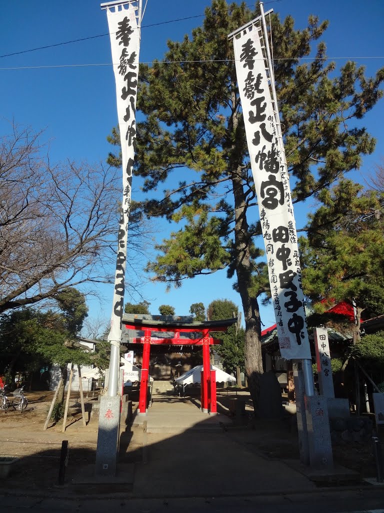 田中八幡宮 by 日室大樹