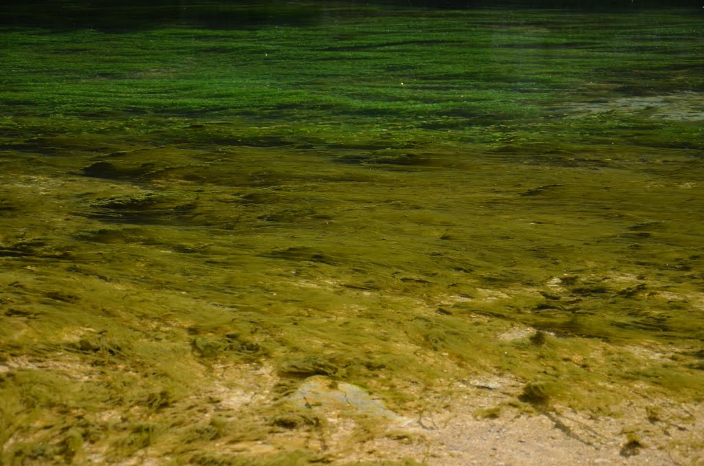 Source de la Douix - Châtillon sur Seine (Côte d'Or) by Naru Kenji