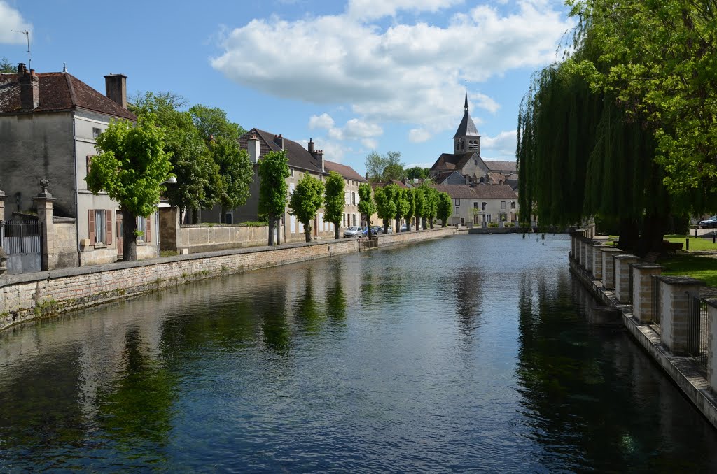 Bassin de la Laigne à Laignes (Côte d'Or) by Naru Kenji