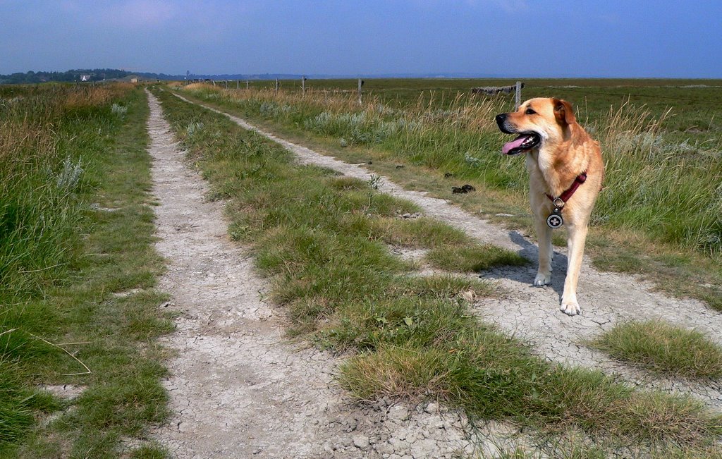 Feldweg Richtung Keitum by Carl Münzel