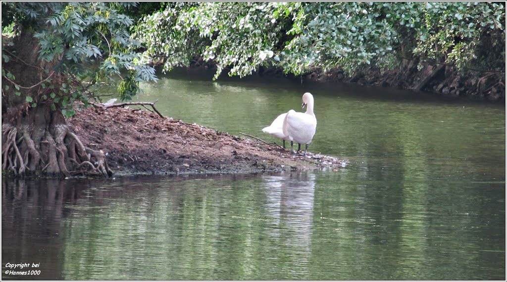 H©)•09•2013 / Haus Aspel - Am großen Teich by Hannes Th.