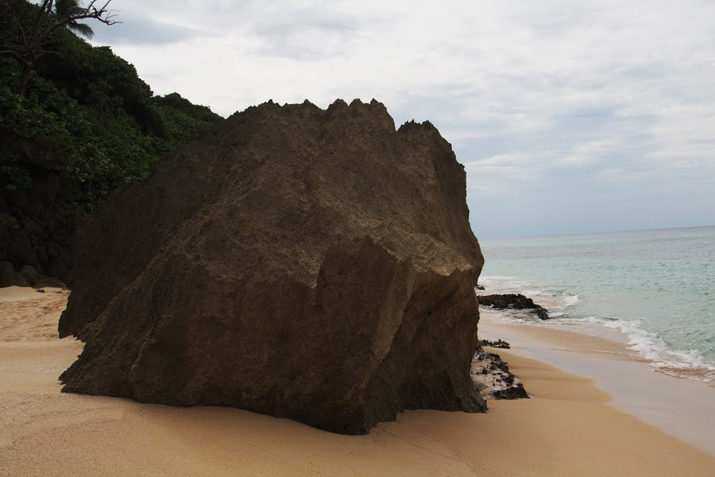 Playa Las Arenas-Manatí by Ricardo David Jusino