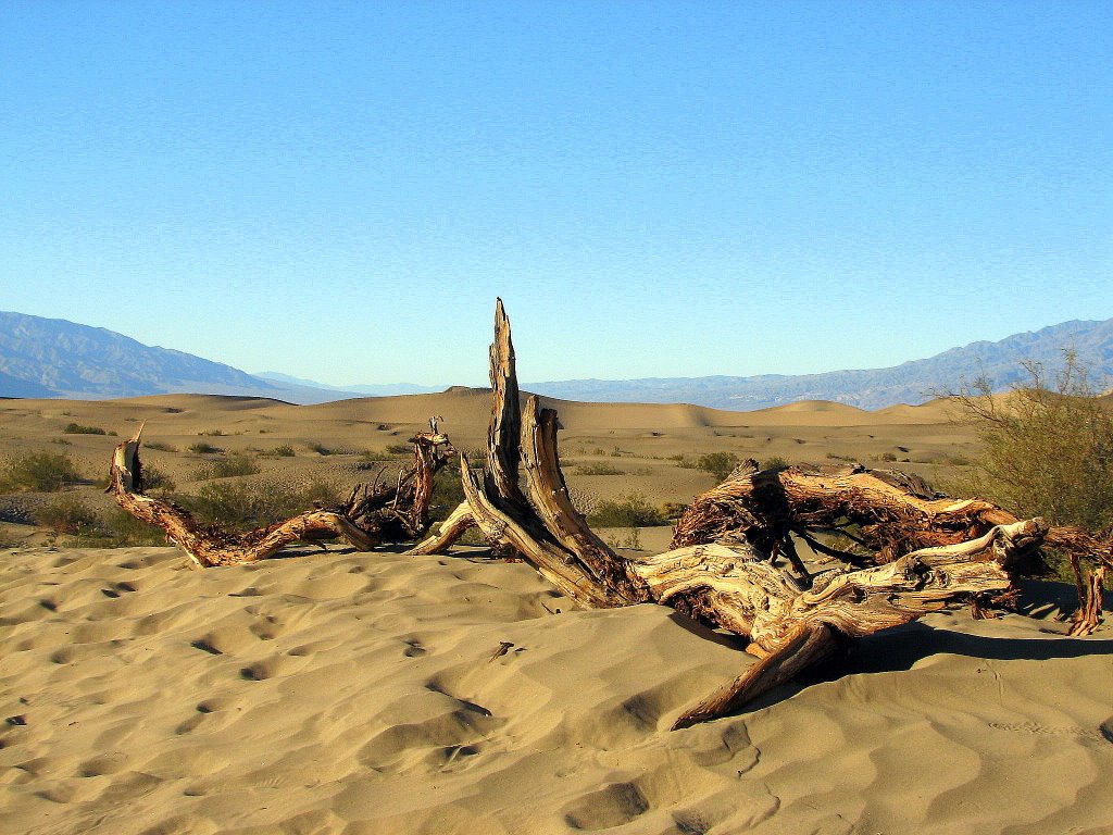 Death valley sand dunes (Thiago) by slo_thiago