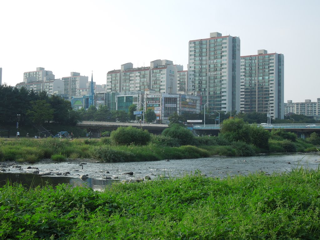 Tan River 탄천 炭川 by plumgarden