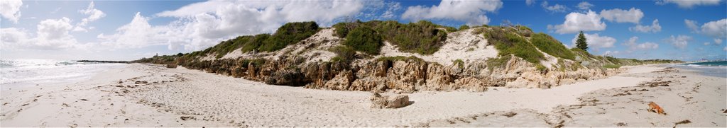 Dog beach at Mosman Park by pweaver