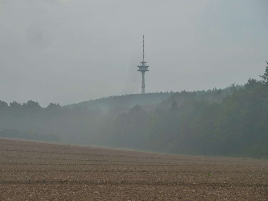 Fernsehturm Sicht Altenhagen II by Freddy1929