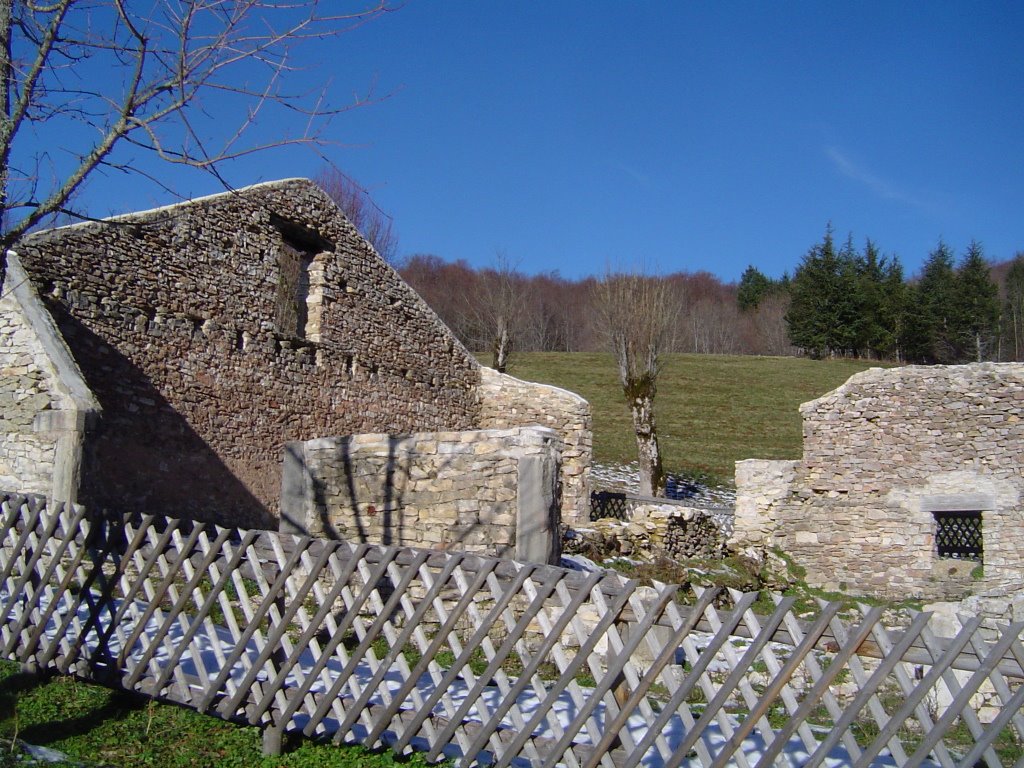 Ruines près de la Goulandière by nicolethiemonge