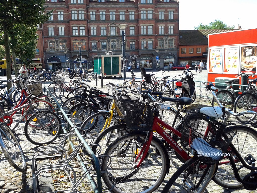 Bicis en Lund, Suecia. by Ana Padorno