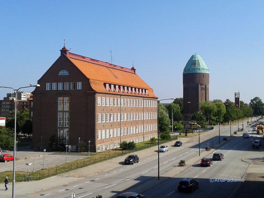 Nobelvägen con sol, Malmö, Suecia. by Ana Padorno