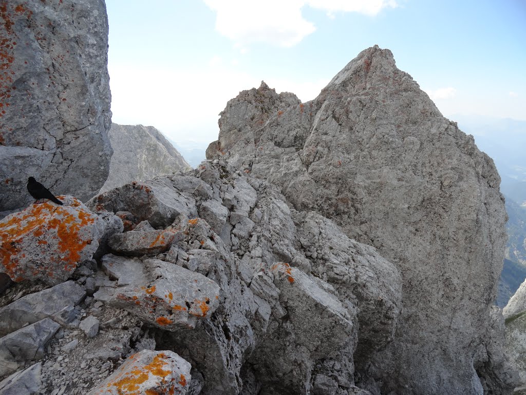 Gipfelregion Ellmauer Halt by Guck-da