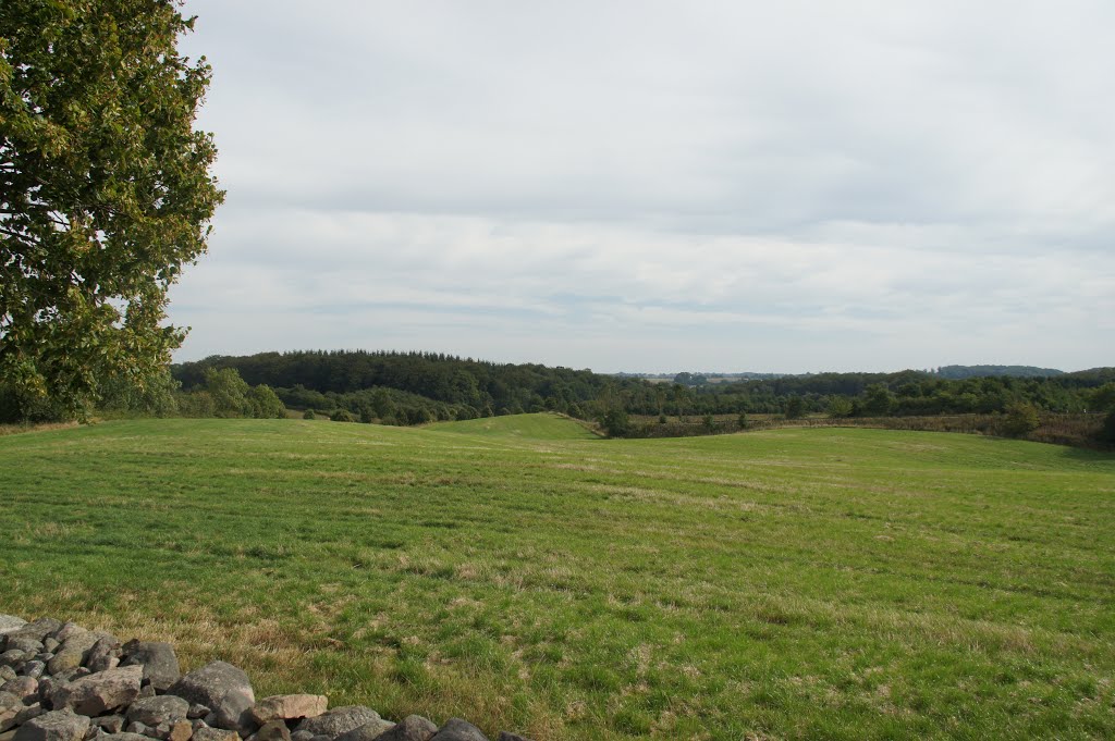 Ved Daugård Kirke, 8. september 2013 by papkassen