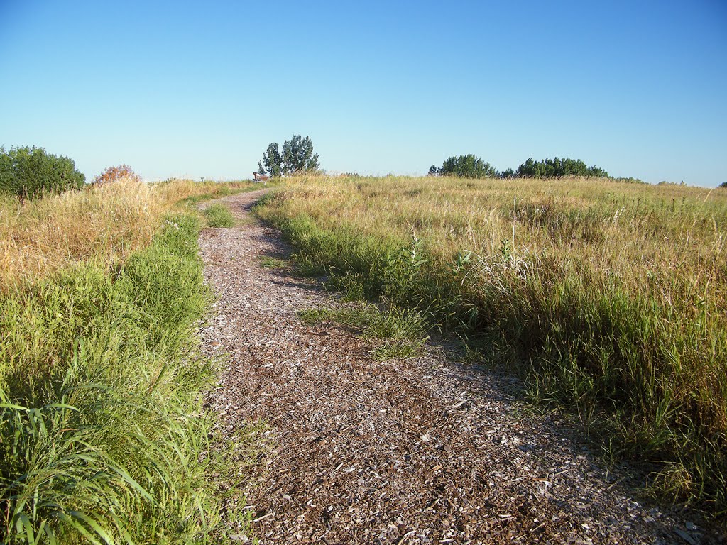 Up the Trail, Lochness Park, Blaine, Minnesota by © Tom Cooper