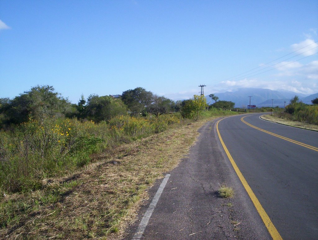 La Almona curva anterior al cruce hacia el Dique los Alisos by rmpiza