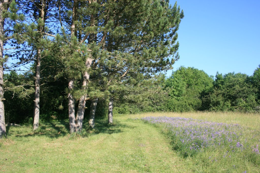 Saint-Père - Site des Fontaines Salées by jacquemy