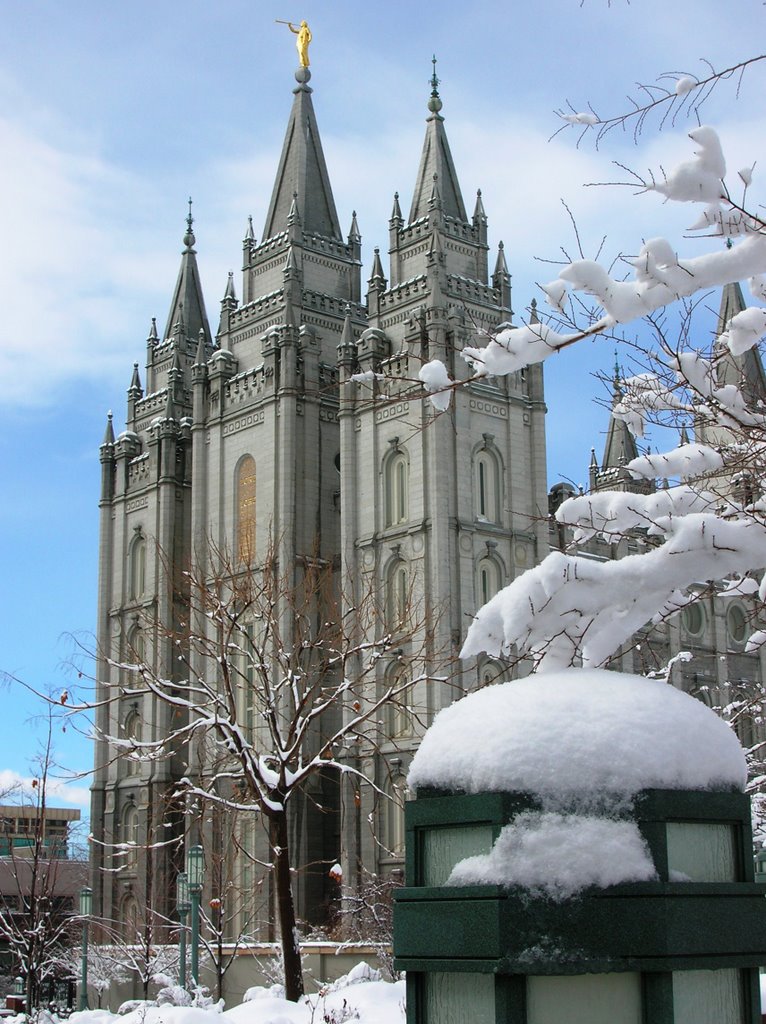 Salt Lake Temple by schaefee