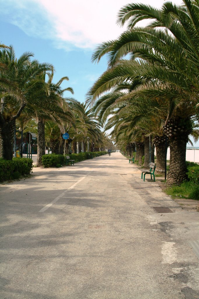 Martinsicuro TE. la pista ciclabile di Lungomare Europa by Silvano Saveri