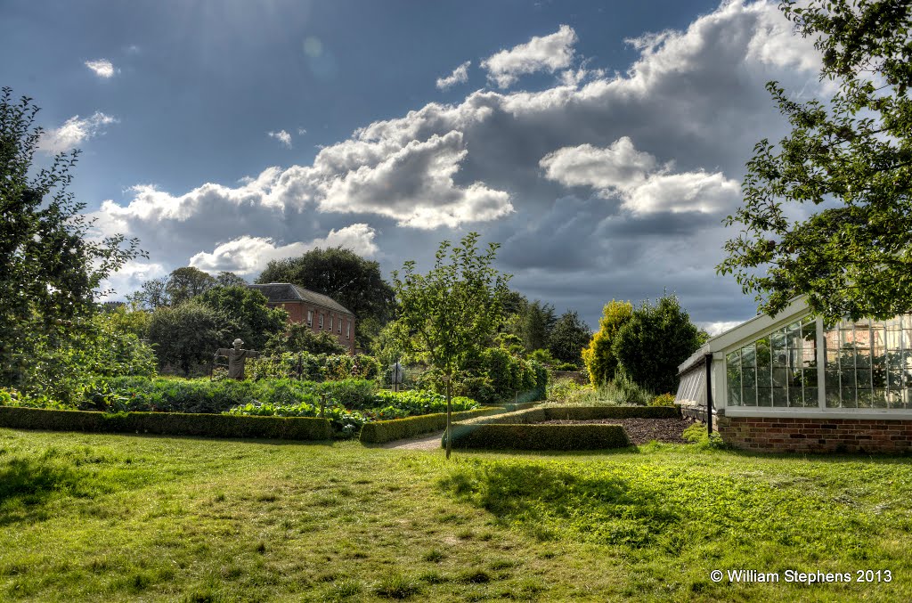 Blues and greens by William Stephens