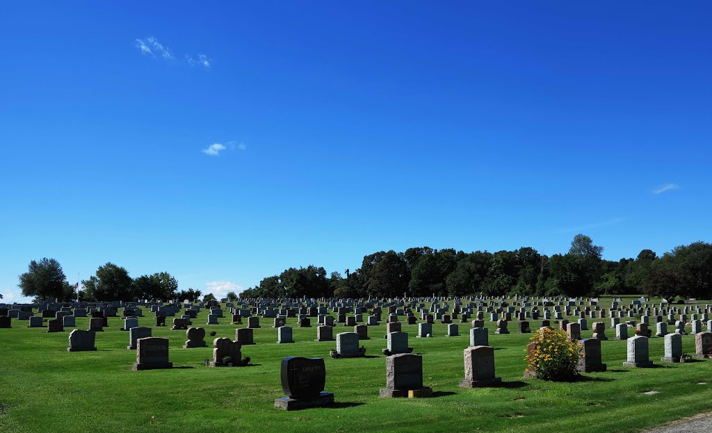 Saint Patrick Cemetary, September 2013 by Steve Powell