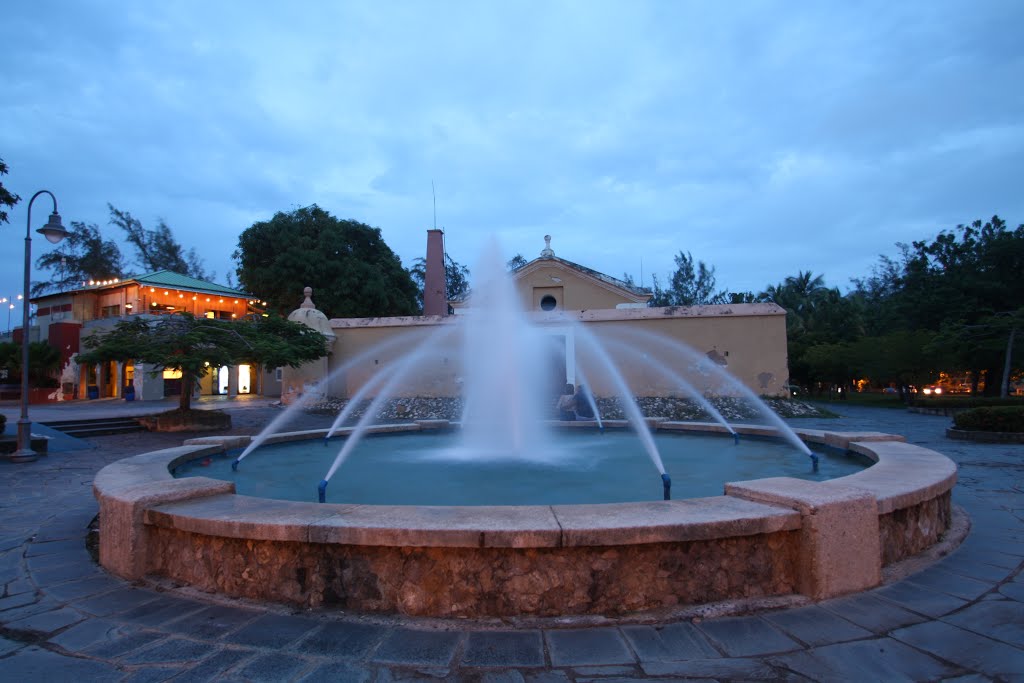 Parque Luis Muñoz Rivera-San Juan, ciudad Patria by Ricardo David Jusino