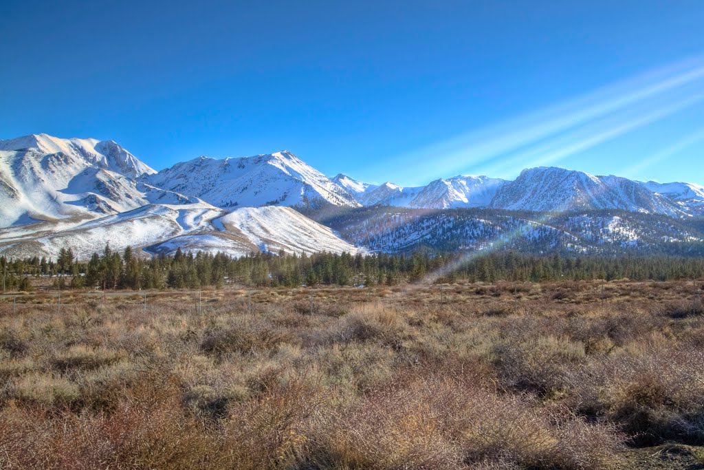 Near Mammoth Lakes, CA by Ryan Hills Photography