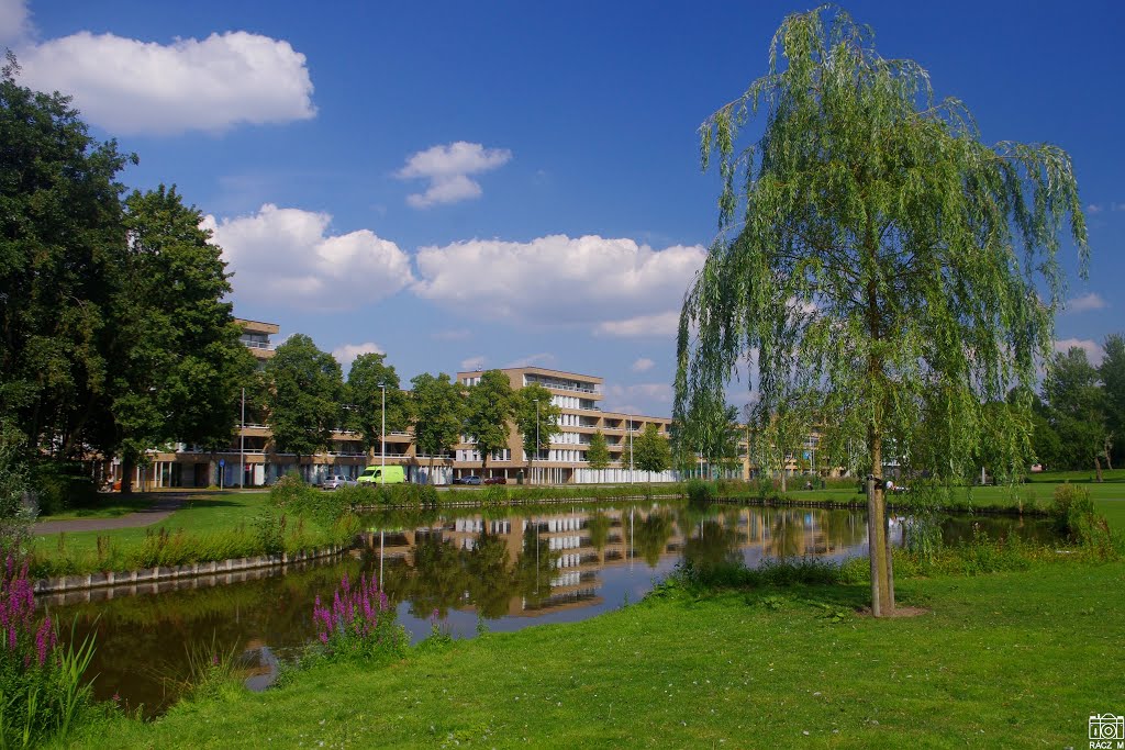 Rotterdam. Argonautenpark. by Tanyasi Tahó