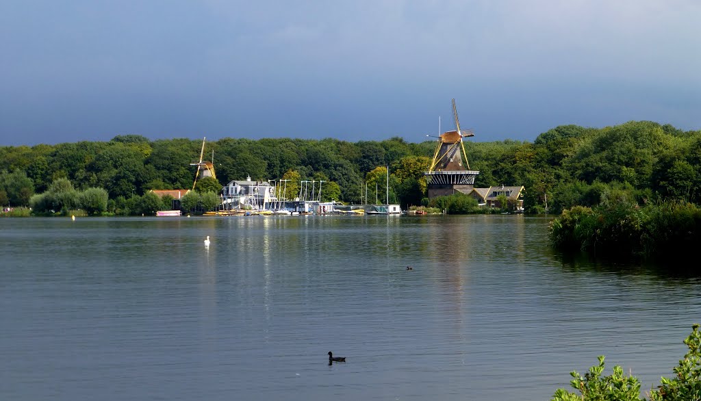 Nederland - Rotterdam - Molen de Ster by Henny  Brouwers