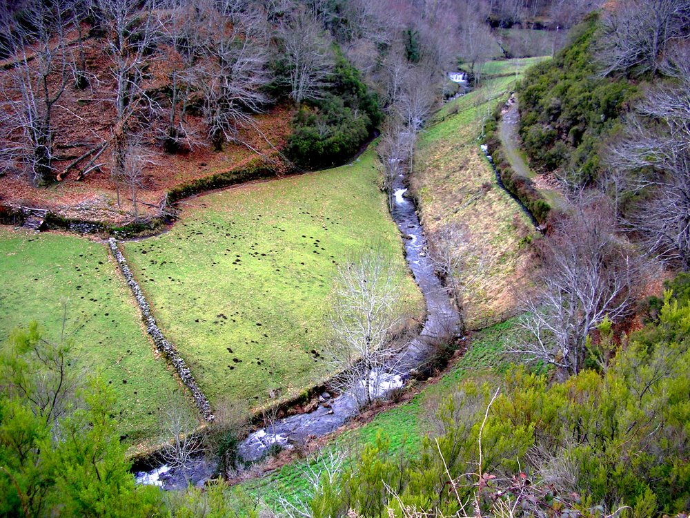 Río Visuña en Ferramulín. O Caurel. by Seara