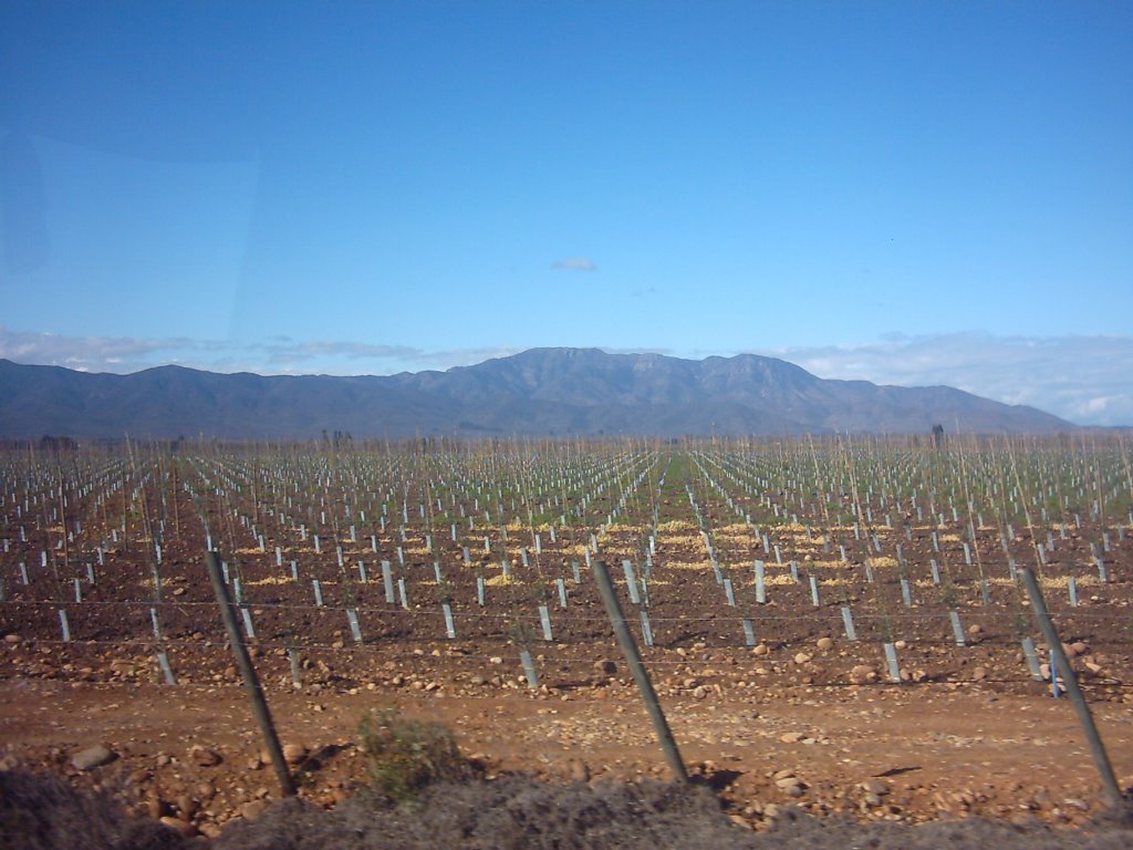 Cerrillos de Tamaya by Genaro González Ayal…