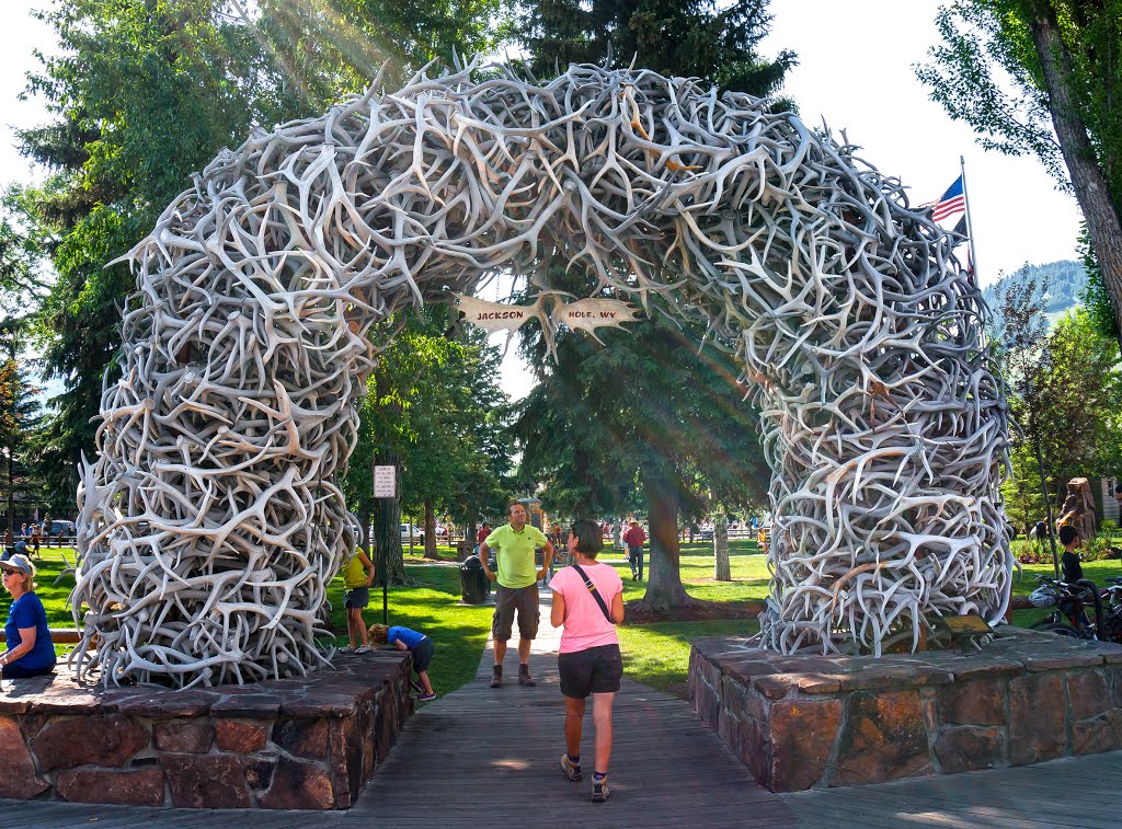 Jackson Hole by PASO