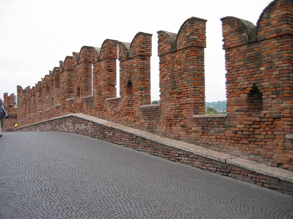 Ponte Scaligero by H. H. Lanting