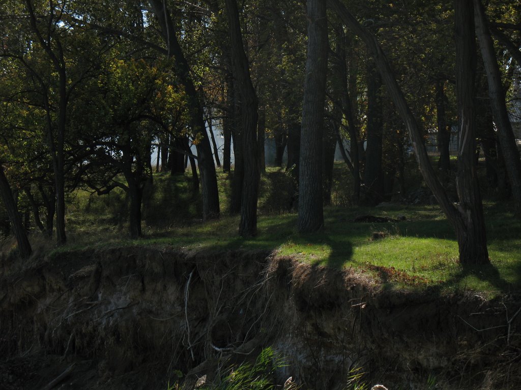 The "Seagull" camp in autumn by russell-nag