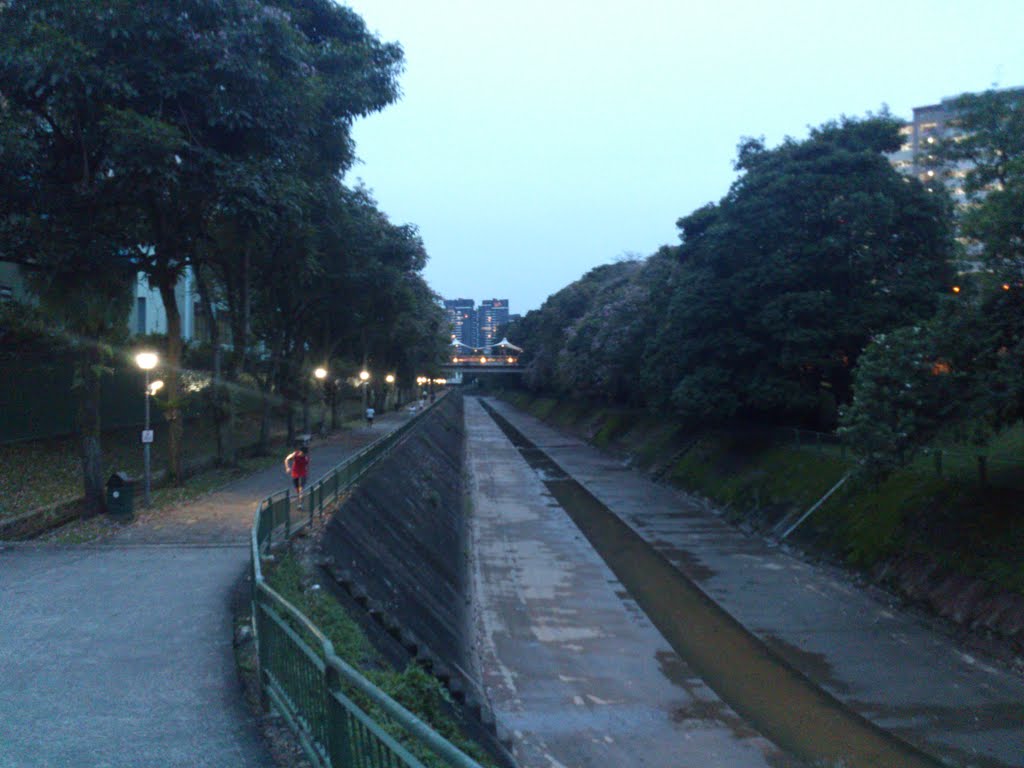 Park Connector at Ghim Moh by kimloon