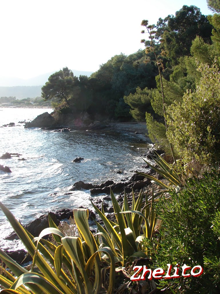 La Bouillabaisse à La Croix Valmer ,sentier du littoral by zhelito