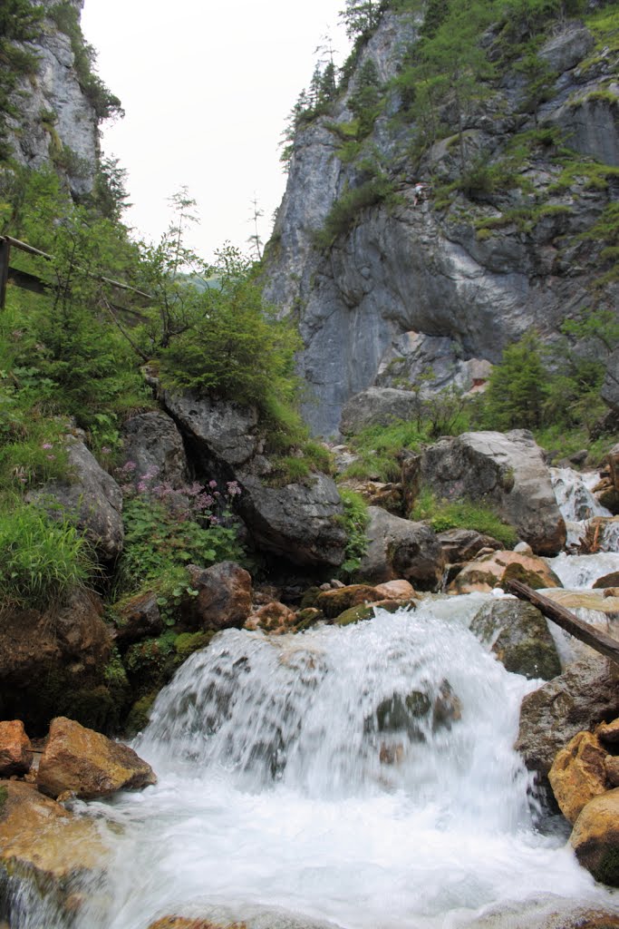 Silberkarklamm, Hias klettersteig by Nemeth Otto