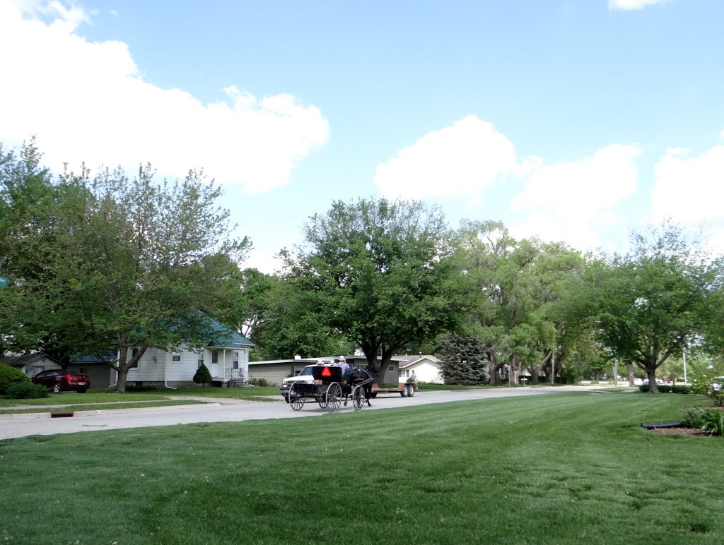 Amish Buggie in Kalona, IA by Gino Vivi