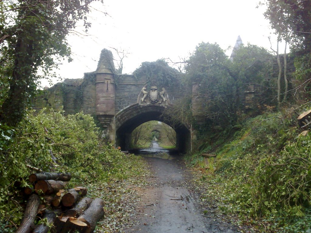 Bridge under Railway Line, Helens Bay by denzell393