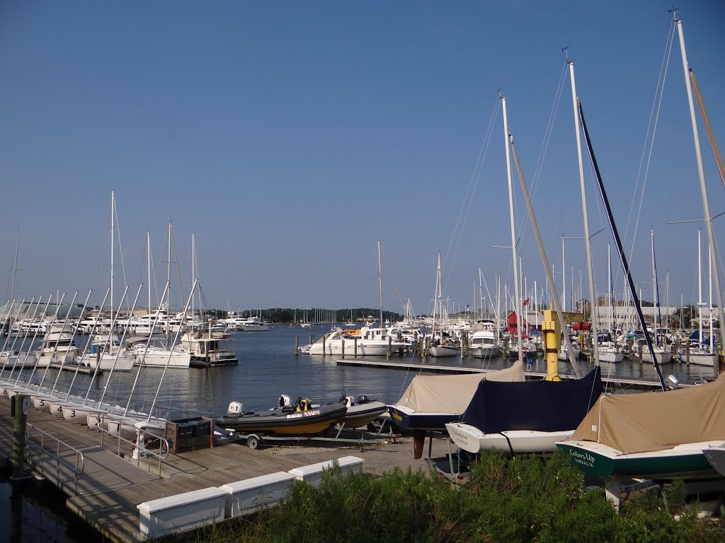 Marina - Annapolis MD by cicero r maciel