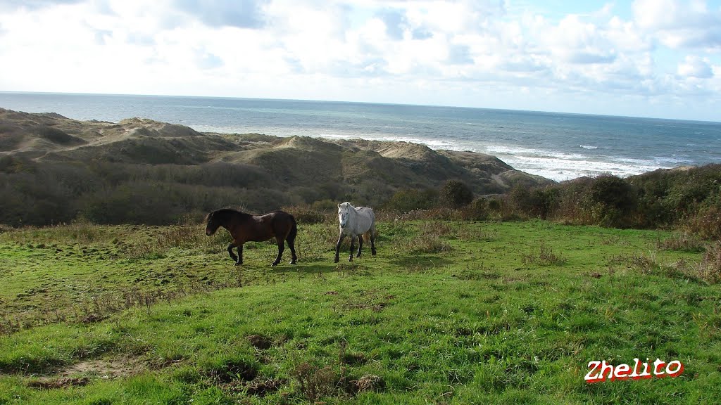 Equihen Plage :La Warenne (Ecault) by zhelito